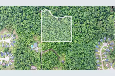 126 Moses Hall Road, Irmo, SC 29063 - Photo 2