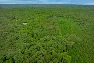 731 Clamp Rd, Blythewood, SC 29016 - Photo 80