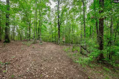 731 Clamp Road, Blythewood, SC 29016 - Photo 68