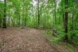 731 Clamp Rd, Blythewood, SC 29016 - Photo 68