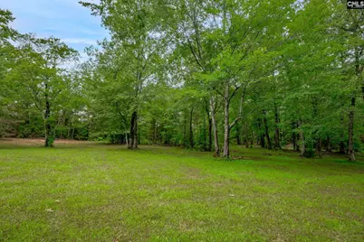 731 Clamp Road, Blythewood, SC 29016 - Photo 66