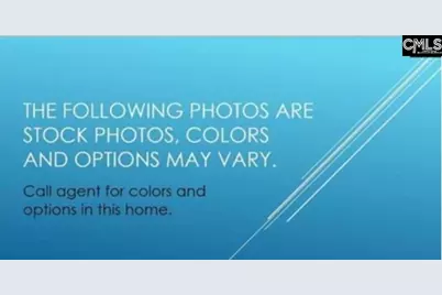 105 Monroe Preserve Drive, Chapin, SC 29036 - Photo 4