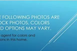 105 Monroe Preserve Dr, Chapin, SC 29036 - Photo 4