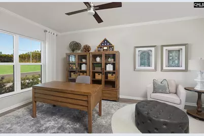 105 Monroe Preserve Drive, Chapin, SC 29036 - Photo 12