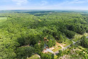 2628 Fort Motte Rd, Saint Matthews, SC 29135 - Photo 14