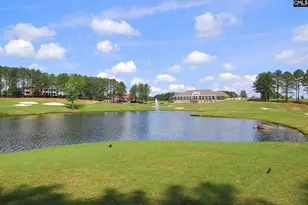 808 Coriander Dr, Blythewood, SC 29016 - Photo 70