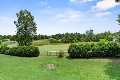 808 Coriander Drive, Blythewood, SC 29016 - Photo 10