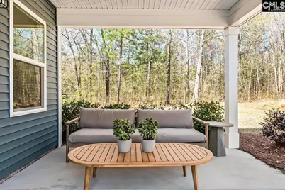 117 Monroe Preserve Drive, Chapin, SC 29036 - Photo 20
