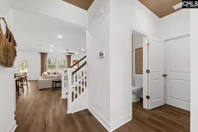 117 Monroe Preserve Drive, Chapin, SC 29036 - Photo 6