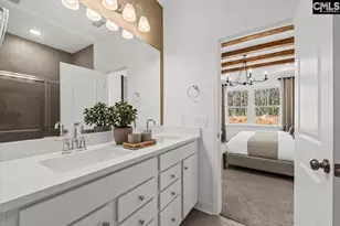 117 Monroe Preserve Dr, Chapin, SC 29036 - Photo 18