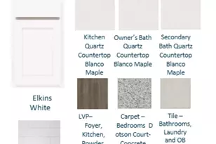 117 Monroe Preserve Dr, Chapin, SC 29036 - Photo 4