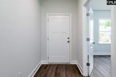 113 Monroe Preserve Drive, Chapin, SC 29036 - Photo 6