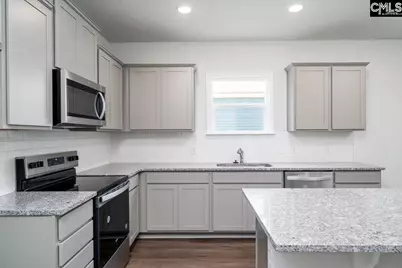 113 Monroe Preserve Drive, Chapin, SC 29036 - Photo 10