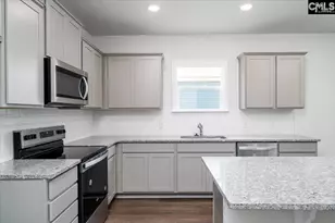 113 Monroe Preserve Dr, Chapin, SC 29036 - Photo 10