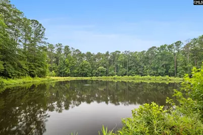 470 Langford Road, Blythewood, SC 29016 - Photo 48