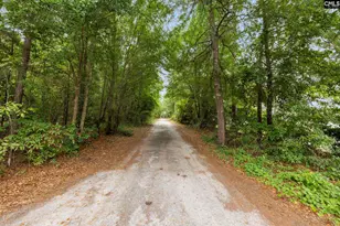 470 Langford Rd, Blythewood, SC 29016 - Photo 52