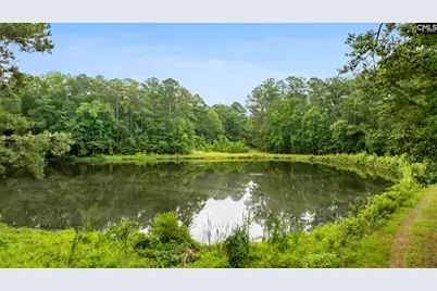 470 Langford Road, Blythewood, SC 29016 - Photo 50