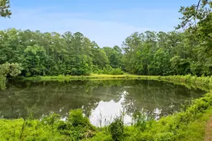 470 Langford Rd, Blythewood, SC 29016 - Photo 50