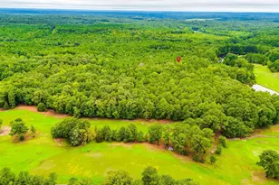 401 Taylor Chapel Rd, Columbia, SC 29203 - Photo 8