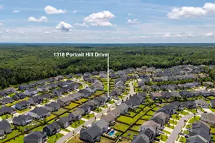 1318 Portrait Hill Dr, Chapin, SC 29036 - Photo 48