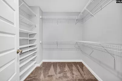 1318 Portrait Hill Drive, Chapin, SC 29036 - Photo 34