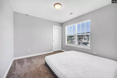 1318 Portrait Hill Drive, Chapin, SC 29036 - Photo 38