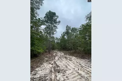 1870 Henry Davis Road 1, Cassatt, SC 29032 - Photo 4