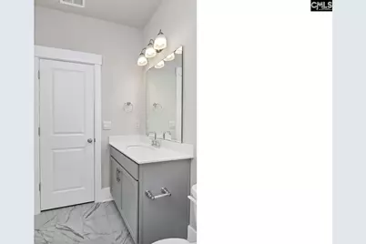 234 Livingston Woods Drive, Irmo, SC 29063 - Photo 10