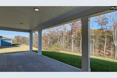 234 Livingston Woods Drive, Irmo, SC 29063 - Photo 40