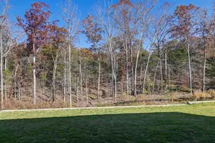 234 Livingston Woods Dr, Irmo, SC 29063 - Photo 36