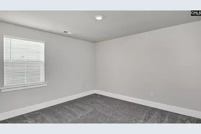 234 Livingston Woods Drive, Irmo, SC 29063 - Photo 12