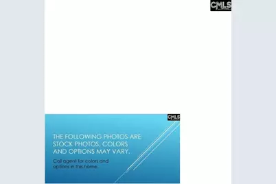 386 Mont Haven Place, Lexington, SC 29072 - Photo 12