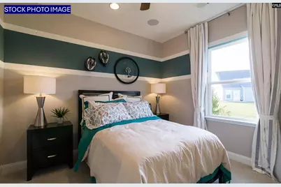 386 Mont Haven Place, Lexington, SC 29072 - Photo 14