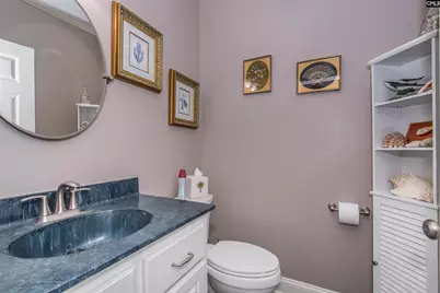 251 Edgewood Drive, Chapin, SC 29036 - Photo 68