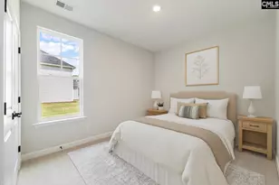 403 Rising Stream Way, Chapin, SC 29036 - Photo 6