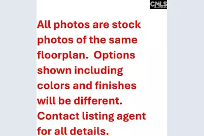 403 Rising Stream Way, Chapin, SC 29036 - Photo 2