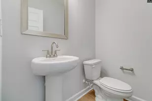 407 Rising Stream Wy, Chapin, SC 29036 - Photo 38