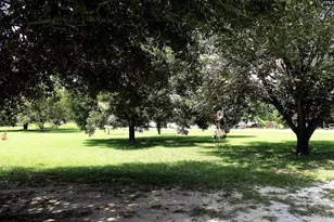 2693 Macedonia Church Rd, Prosperity, SC 29127 - Photo 2