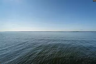 2110 Shull Ave, Gilbert, SC 29054 - Photo 44