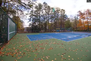 1441 Old Chapin Rd, Lexington, SC 29072 - Photo 26