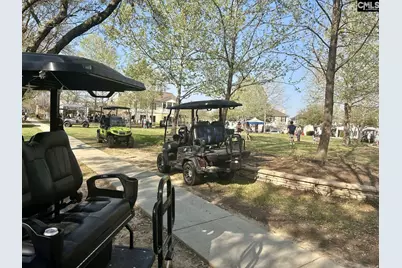 202 Waterstone Drive, Lexington, SC 29072 - Photo 6