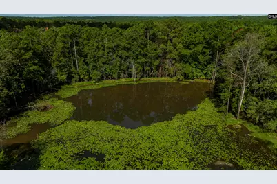 3 Ellafair Lane, Blythewood, SC 29016 - Photo 34