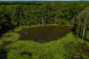 3 Ellafair Ln, Blythewood, SC 29016 - Photo 34