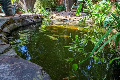 3 Ellafair Lane, Blythewood, SC 29016 - Photo 76