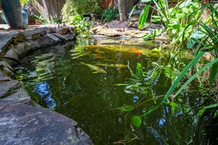 3 Ellafair Ln, Blythewood, SC 29016 - Photo 76