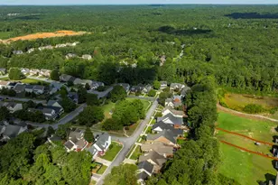 3 Ellafair Ln, Blythewood, SC 29016 - Photo 22