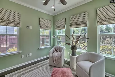 806 Bergenfield Lane, Chapin, SC 29036 - Photo 14