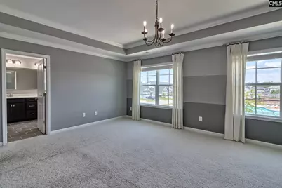 806 Bergenfield Lane, Chapin, SC 29036 - Photo 18