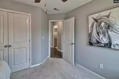 806 Bergenfield Lane, Chapin, SC 29036 - Photo 28