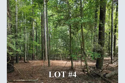 155A Torrey Pines, Chapin, SC 29036 - Photo 6